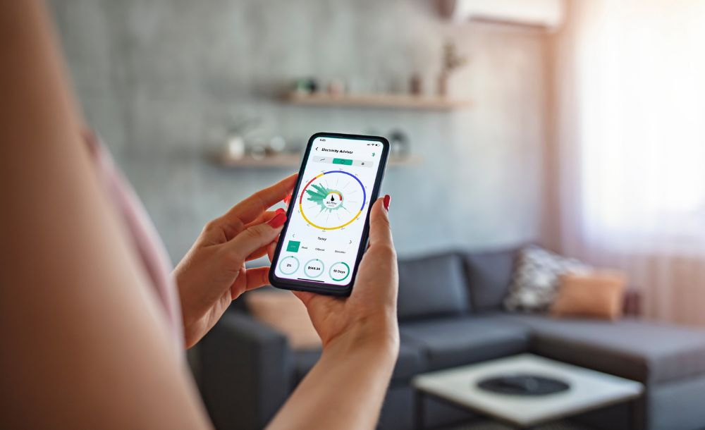Electricity advisor